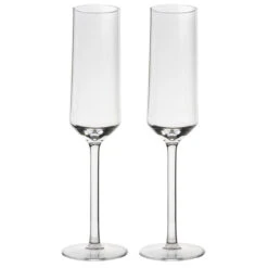 Gimex Champagnerglas Solid Line 2er Set
